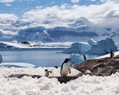 Antártica alcançou novo recorde de temperatura, alertam especialistas