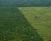 Perto de 20% da Floresta Amazônica libera mais CO2 do que absorve