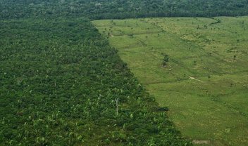 Perto de 20% da Floresta Amazônica libera mais CO2 do que absorve