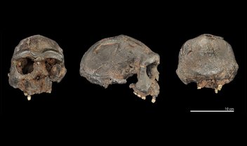 Ancestrais humanos se relacionaram com espécie desconhecida