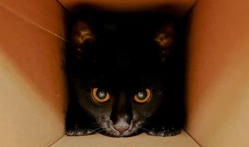 Físico 'desconstrói' Paradoxo do Gato de Schrödinger para explicá-lo