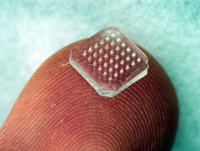 A nova vacina, se aprovada, será aplicada através de um adesivo com microagulhas.