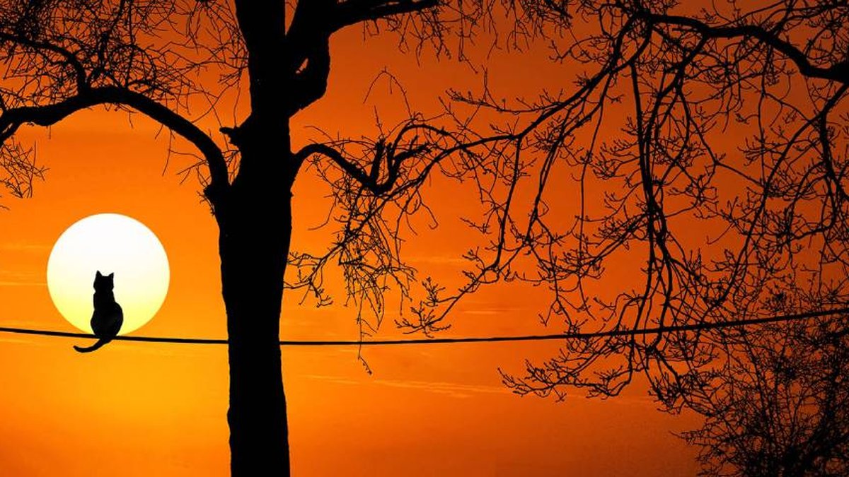 Por que o pôr do sol é tão lindo em algumas tardes? - TecMundo Por que o pôr do sol é tão lindo em algumas tardes? - TecMundo
