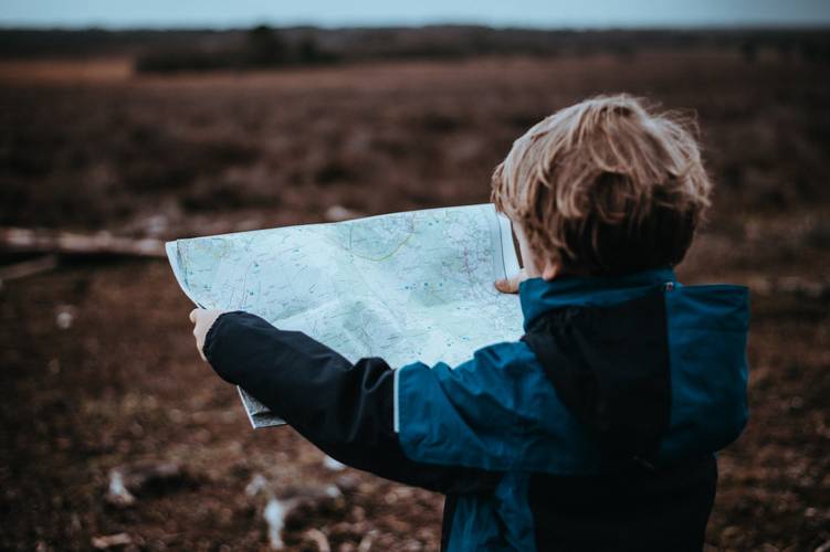 Fonte: Unsplash/Annie Spratt/Reprodução