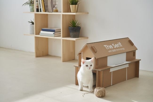 Os pets também podem se beneficiar com as caixas ecológicas.