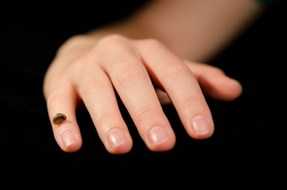 De um fragmento de osso do dedo mindinho foi extraído o DNA ancestral.