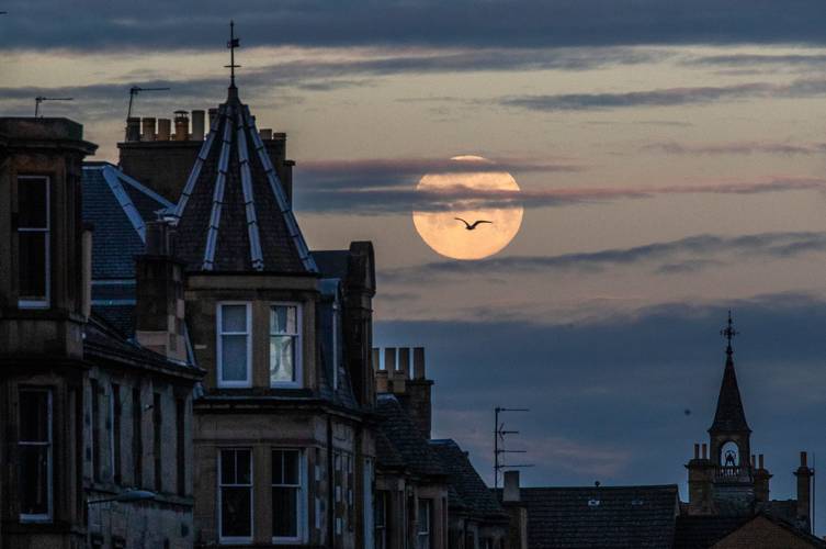 Foto de Superlua Rosa em abril.