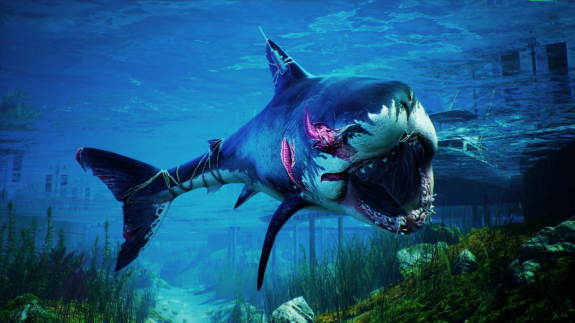 Ao evoluir a criatura dos mares, ela ganha diferentes aspectos físicos.