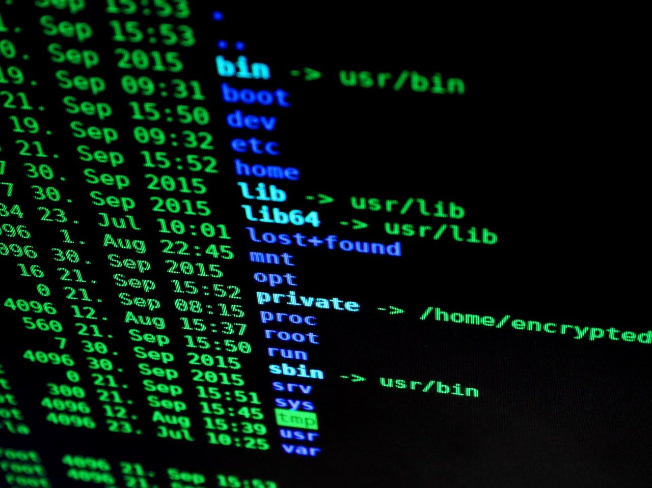 Em muitas das áreas da cibersegurança, saber programação é uma habilidade importante