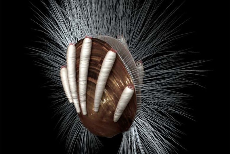 Representação artística do braquiópode coberto de parasita
