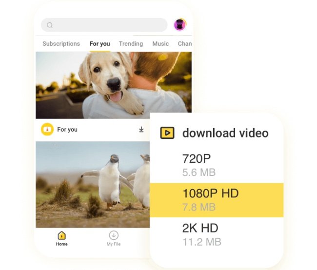 O usuário pode escolher a resolução para o vídeo baixado.