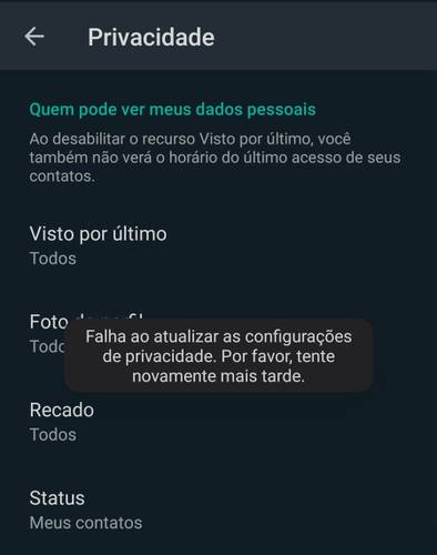 O aplicativo exibe uma mensagem de erro na aba de Privacidade