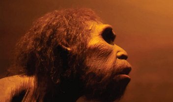 Tecido cerebral neandertal é recriado em laboratório