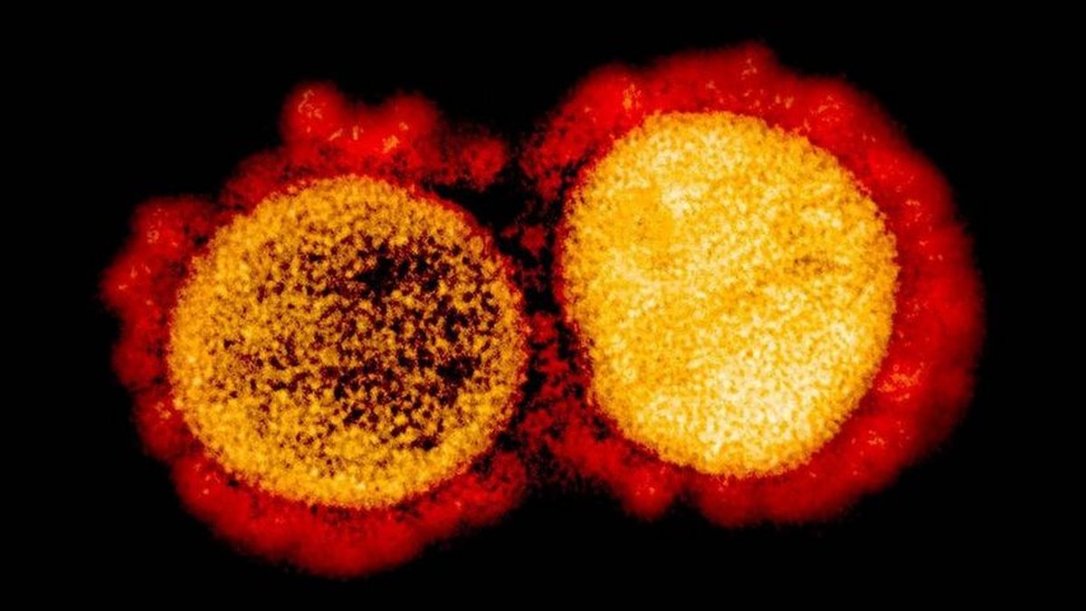 15% dos testes rápidos dão positivo para covid-19 no Brasil - TecMundo