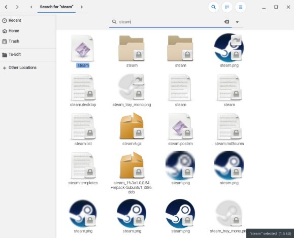 Arquivos do Steam encontrados no Chrome OS graças à emulação de uma plataforma Linux.