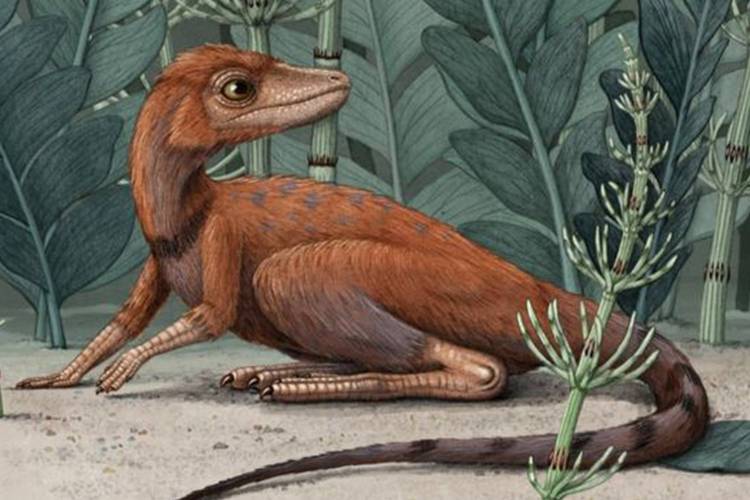 Arte conceitual do pequeno ancestral, feita pelo ilustrador Alex Boersma