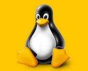 Linux segue Github e abandona termos considerados racistas