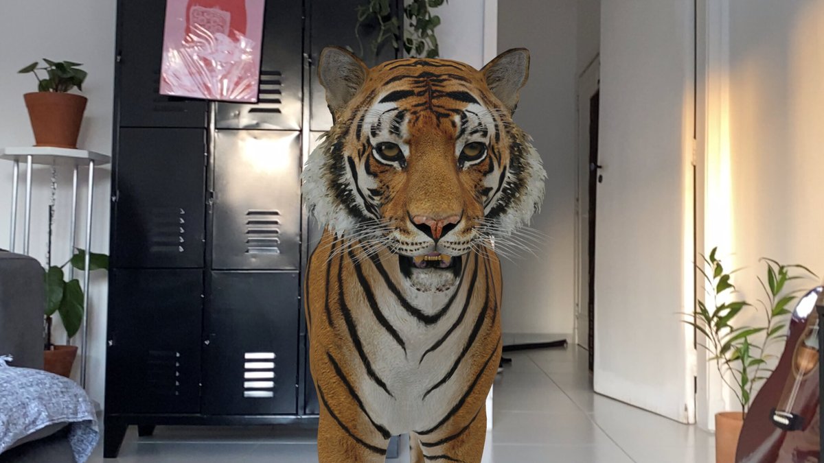 Apareceu um TIGRE em minha sala! Essa é a NOVIDADE da pesquisa do