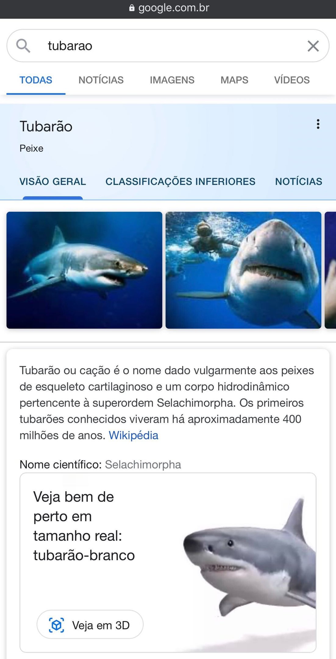 Como ver animais em 3D no Google usando o celular - TecMundo