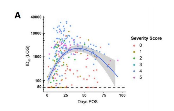 A curva descendente mostra a quantidade de anticorpos detectados no organismo dos pacientes recuperados; os pontos coloridos indicam o grau de severidade da infecção.