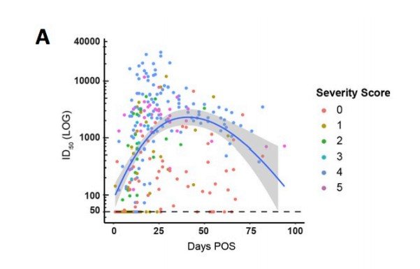 A curva descendente mostra a quantidade de anticorpos detectados no organismo dos pacientes recuperados; os pontos coloridos indicam o grau de severidade da infecção.