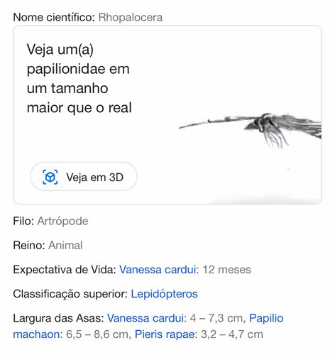 Busca do Google agora exibe insetos em 3D usando realidade aumentada.