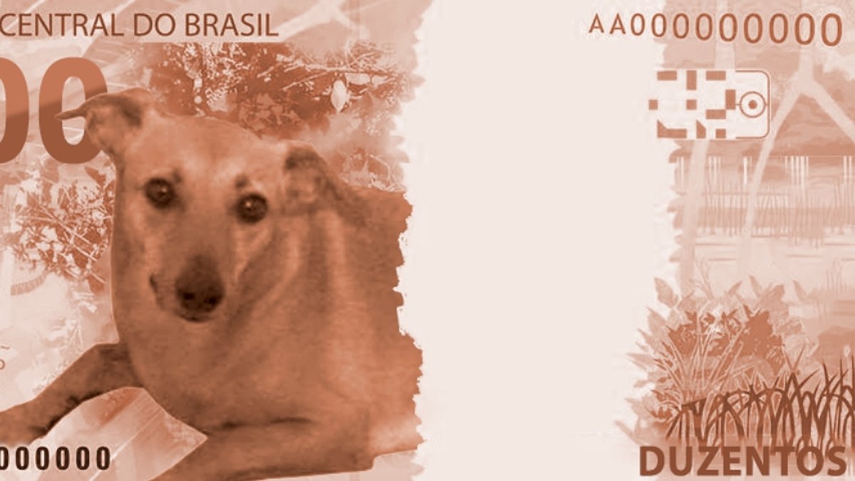 Qual o nome desse meme? : r/brasil