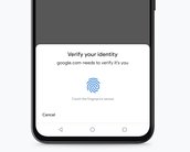 Google Chrome: autopreencher de senhas e cartões fica mais seguro