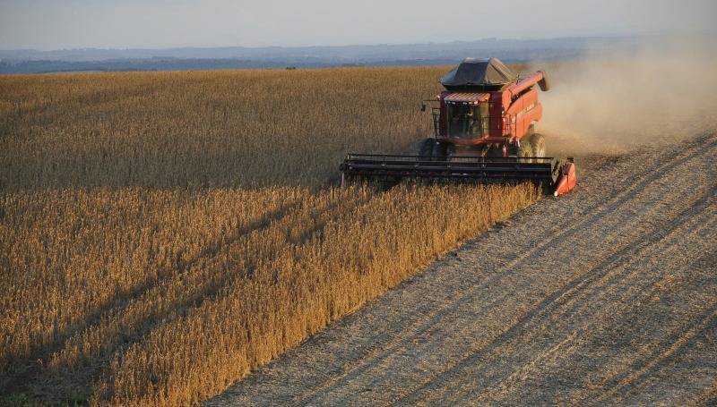 Plantio e colheita são monitorados do espaço a fim de evitar a fome mundial