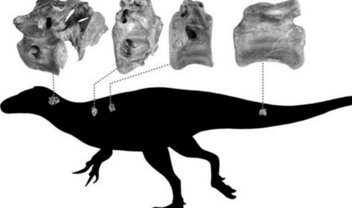 Nova espécie de dinossauro é descoberta em ilha na Inglaterra