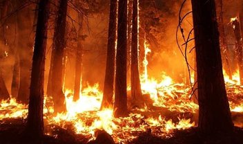 Google Maps monitora incêndios florestais nos EUA a cada hora