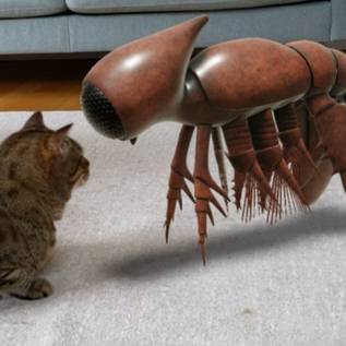 Imagem de Animais pré-históricos em 3D chegam ao Google