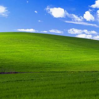 Imagem de Windows XP ainda tem mais usuários que Windows 8, Vista e Chrome OS