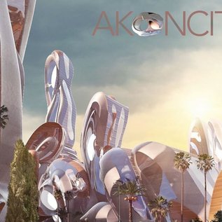 Imagem de Akon anuncia projeto para construir 'Wakanda da vida real'