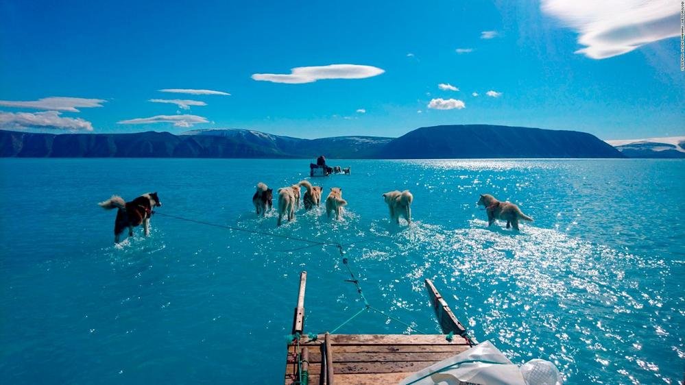 A imagem de 2019 do pesquisador do clima Steffen Olsen andando sobre o gelo derretido do fiorde Inglefield, na Groenlândia, percorreu o mundo; em vez de 3°C, a temperatura registrada foi cinco vezes mais alta.