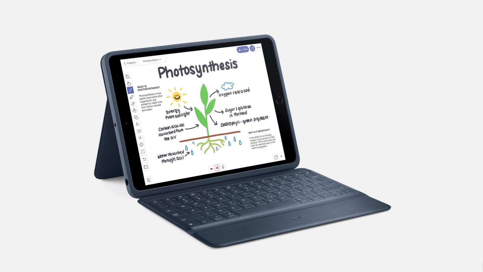 O iPad 8 é compatível com acessórios da Apple