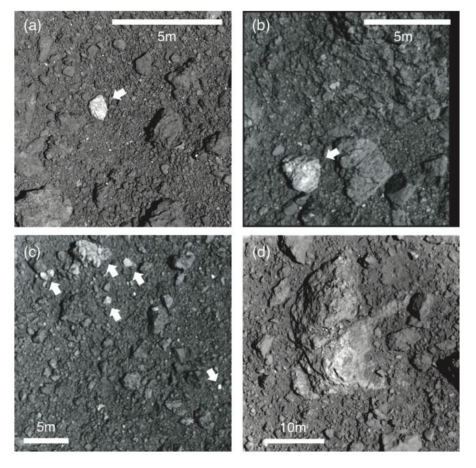 Rochas brilhantes se destacam na superfície do escuro asteroide Ryugu.