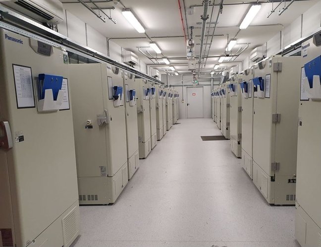 Uma das “fazendas” de freezers da UPS, com 600 unidades capazes de atingir - 80°C e com capacidade, cada uma, para 48 mil frascos de vacina.