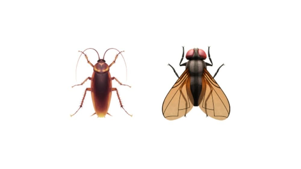 Barata e mosca são alguns dos emojis chegando com o iOS 14.2