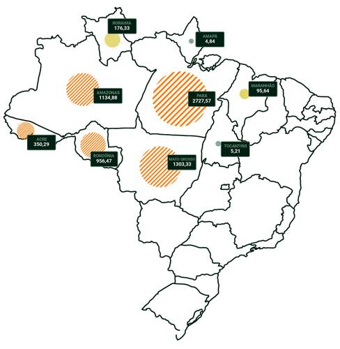 Gráfico 02