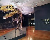 Fóssil de T-Rex é vendido por US$ 31,8 milhões em leilão