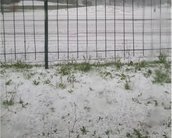 Chuva de granizo em Curitiba cobre as ruas com gelo; veja imagens