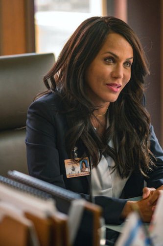 Nicole Ari Parker integra elenco de Chicago PD. (Reprodução)