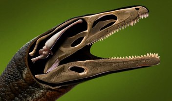 Cientistas reconstroem cérebro de um dos dinossauros mais antigos