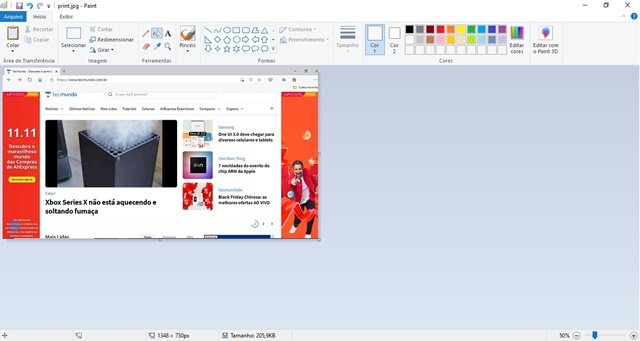Print da tela do navegador colado no Paint.