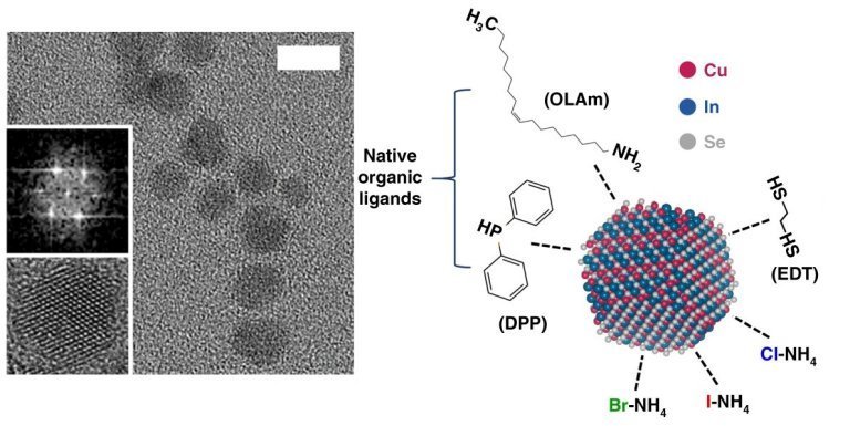 Por terem partes inorgânicas e orgânicas, pontos quânticos coloidais combinam as qualidades dos semicondutores com a versatilidade dos sistemas moleculares.