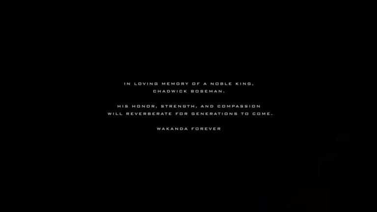 Homenagem da Insomniac para o ator Chadwick Boseman, astro do filme Pantera Negra
