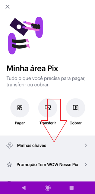 Acesso ao menu de chaves Pix no app Nubank.