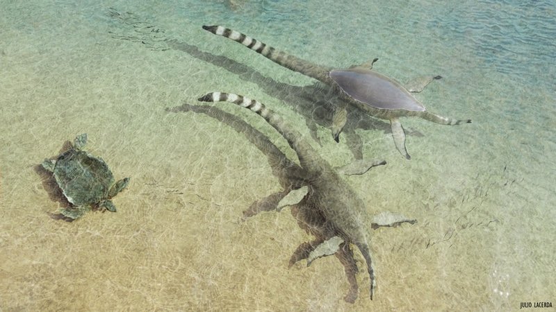 Um Protostega e dois Elasmosaurus, possivelmente em um rio do Kansas, EUA.