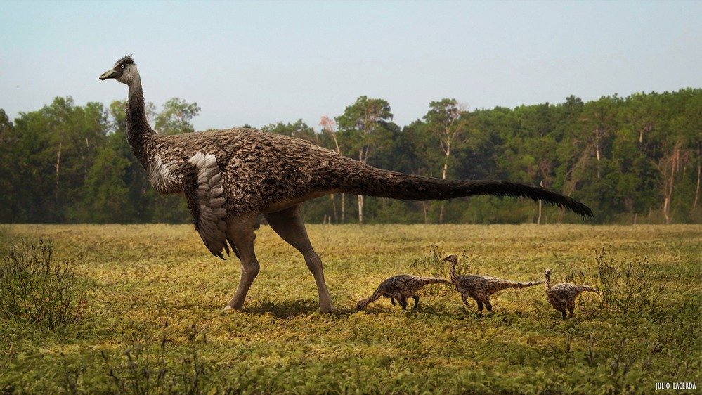 Um Ornithomimus com seus filhotes.